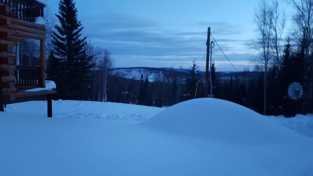 Wildmoon Home Fairbanks Exterior foto